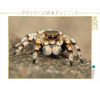 Puzzle · Une Illustration tirée du Calendrier « La Fascination des | araignées · 1000 pièces · Format assemblé 64 × 48 cm · CALVENDO Puzzle