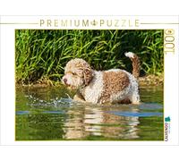 Puzzle · Une Illustration tirée du Calendrier « Lagotto Romagnolo | Un chien à tomber amoureux · 1000 pièces · Format assemblé 64 × 48 cm · CALVENDO Puzzle