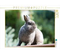 Puzzle · Une Illustration tirée du Calendrier « Lapins | des compagnons adorables · 1000 pièces · Format assemblé 64 × 48 cm · CALVENDO Puzzle