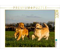 Puzzle · Une Illustration tirée du Calendrier « Le Bonheur a Un nom | Golden Retriever · 1000 pièces · Format assemblé 64 × 48 cm · CALVENDO Puzzle