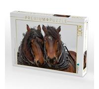 Puzzle · Une Illustration tirée du Calendrier « Les Chevaux de Trait aux | champs · 1000 pièces · Format assemblé 64 × 48 cm · CALVENDO Puzzle
