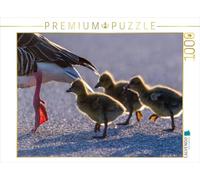 Puzzle · Une Illustration tirée du Calendrier « Moments émouvants | l'oie cendrée · 1000 pièces · Format assemblé 64 × 48 cm · CALVENDO Puzzle