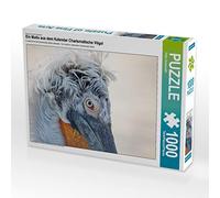 Puzzle · Une Illustration tirée du Calendrier « Oiseaux charismatiques | Le pélican frisé, avec son regard charismatique, en Grèce · 1000 pièces · Format assemblé 64 × 48 cm · CALVENDO Puzzle