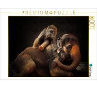 Puzzle · Une Illustration tirée du Calendrier « Portraits d'animaux en Gros | plan · 1000 pièces · Format assemblé 64 × 48 cm · CALVENDO Puzzle
