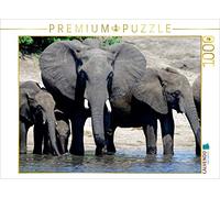 Puzzle · Une Illustration tirée du Calendrier « Proboscidiens | Éléphants d'Afrique · 1000 pièces · Format assemblé 64 × 48 cm · CALVENDO Puzzle