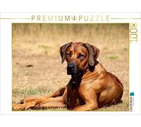 Puzzle · Une Illustration tirée du Calendrier « Ridgebacks | Les chiens d'Afrique · 1000 pièces · Format assemblé 64 × 48 cm · CALVENDO Puzzle