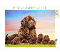 Puzzle · Une Illustration tirée du Calendrier « Terre-Neuve | Images de la chambre d'enfant · 1000 pièces · Format assemblé 64 × 48 cm · CALVENDO Puzzle