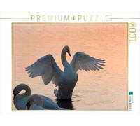 Puzzle · Une Illustration tirée du Calendrier « Une année avec Les cygnes | 1000 pièces · Format assemblé 64 × 48 cm · CALVENDO Puzzle