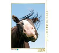 Puzzle · Une Illustration tirée du Calendrier « Visages de Chevaux | Des portraits pleins d'humour · Un cheval à sang chaud plein… · 1000 pièces · Format assemblé 64 × 48 cm · CALVENDO Puzzle