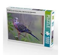 Puzzle · Une Illustration tirée du Calendrier « Wellis | Mon ami le perruche · 1000 pièces · Format assemblé 64 × 48 cm · CALVENDO Puzzle