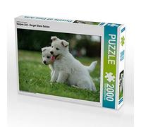 Puzzle · Une Illustration tirée du Calendrier « Welpen Zeit | Berger blanc suisse · Une équipe de rêve qui élabore des projets · 2000 pièces · Format assemblé 90 × 67 cm · CALVENDO Puzzle