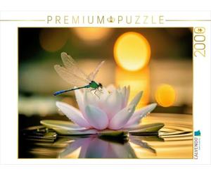 Puzzle · Une Libellule posée sur Un nénuphar | La vie parmi les nénuphars · 2000 pièces · Format assemblé 90 × 67 cm · CALVENDO Puzzle