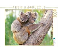 Puzzle · Une Maman Koala grimpe avec Son Petit sur Le Dos | Adorable: les koalas en Australie · Collection « Animaux rigolos · 1000 pièces · Format assemblé 64 × 48 cm · CALVENDO Puzzle