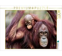 Puzzle · Une mère Orang-outan avec Son Petit | 1000 pièces · Format assemblé 64 × 48 cm · CALVENDO Puzzle