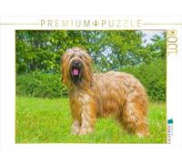 Puzzle · Une Vraie beauté - Briard | 1000 pièces · Format assemblé 64 × 48 cm · CALVENDO Puzzle