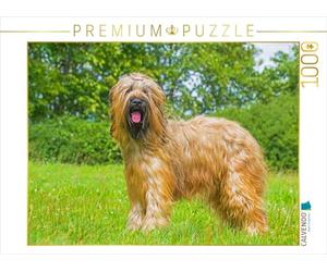 Puzzle · Une Vraie beauté - Briard | 1000 pièces · Format assemblé 64 × 48 cm · CALVENDO Puzzle