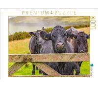 Puzzle · Vaches dans Le Parc National d'Exmoor | La campagne britannique · 1000 pièces · Format assemblé 64 × 48 cm · CALVENDO Puzzle