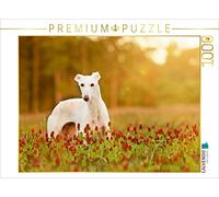 Puzzle CALVENDO Vente de prairie dans le trèfle | 1000 pièces, format assemblé 6