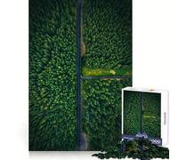 Puzzle Verdant Sanctuary Road 1000 pièces Exercice de logique Distraction apaisante Bords Nets Cadeau Festif (38x26cm)