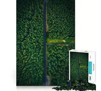 Puzzle Verdant Sanctuary Road 1000 pièces Jeu de Concentration mentale Conception sans Espace et ajustée Défi cérébral interactif pour la Maison (38x26cm)