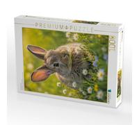 Puzzle · Versteckt im Gras | Ein stiller Moment voller natürlicher Sanftheit · 1000 pièces · Format assemblé 64 × 48 cm · CALVENDO Puzzle