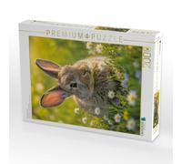 Puzzle · Versteckt im Gras | Ein stiller Moment voller natürlicher Sanftheit · 2000 pièces · Format assemblé 90 × 67 cm · CALVENDO Puzzle