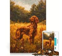 Puzzle Vintage de 1000 pièces représentant Un Setter Irlandais,idéal pour Les Adolescents Jeu Stimulant l'esprit,Assemblage Solide et sécurisé,activité de Partage et de complicité (38x52cm)