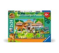 Puzzle vivre en terre sauvage jurassic world explorers 24 pieces - Ravensburger Or