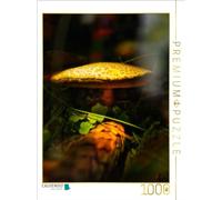Puzzle · Voir ce Qui est spécial | 1000 pièces · Format assemblé 64 × 48 cm · CALVENDO Puzzle