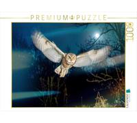 Puzzle · Vol de Nuit au-Dessus de la France | Les chouettes dans les forêts allemandes · 1000 pièces · Format assemblé 64 × 48 cm · CALVENDO Puzzle