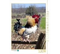 Puzzle · Volaille, Poules, Coq, Coq Qui Chante | 1000 pièces · Format assemblé 64 × 48 cm · CALVENDO Puzzle