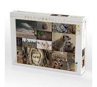 Puzzle · Voyage Exotique | 1000 pièces · Format assemblé 64 × 48 cm · CALVENDO Puzzle