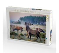 Puzzle · Wenn der Hirsch den Pfad kreuzt, Wird der Wald lebendig | Hirsche · 1000 pièces · Format assemblé 64 × 48 cm · CALVENDO Puzzle