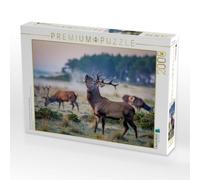 Puzzle · Wenn der Hirsch den Pfad kreuzt, Wird der Wald lebendig | Hirsche · 2000 pièces · Format assemblé 90 × 67 cm · CALVENDO Puzzle