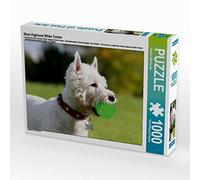 Puzzle · West Highland White Terrier | Jouer au ballon, c'est tout simplement génial · 1000 pièces · Format assemblé 64 × 48 cm · CALVENDO Puzzle