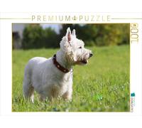 Puzzle · West Highland White Terrier | Qu'est-ce qui se passe ici · 1000 pièces · Format assemblé 64 × 48 cm · CALVENDO Puzzle