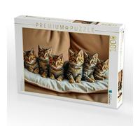 Puzzle · Wunderful Main Coons | Une portée de chatons · 1000 pièces · Format assemblé 64 × 48 cm · CALVENDO Puzzle