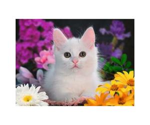 Puzzle XXL 100 pièces Chat Pailleté - Un Jeu Éducatif et Amusant pour Enfants