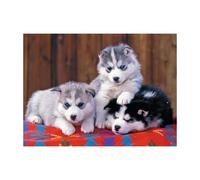 Puzzle xxl 200p mignons huskies