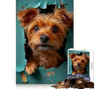 Puzzle Yorkshire Terrier avec des Adolescents Qui regardent, 1000 pièces, idéal pour stimuler la mémoire et se détendre, Cadeau Parfait pour Les fêtes (50x75cm)