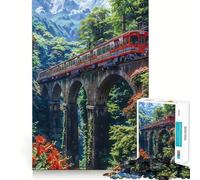 Puzzle Zen Garden Tranquility 1000 pièces Jeu cognitif et Amusant Pièces Robustes et aux découpes nettes Exercice Mental Calme à Faire à la Maison (38x52cm)