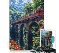 Puzzle Zen Garden Tranquility pour Adolescents 1000 pièces Jeu de réflexion Découpe Laser pour Un Assemblage Parfait Exercice Mental Calme à la Maison (50x75cm)