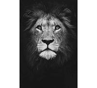 PUZZLECABIN Adulte 3000 pièces Puzzle Jouet Lion Puzzle Jouet Cadeau éducatif pour la Famille et Les Amis