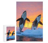 Puzzles 1000 PCS pour Adolescents Orcas Jumping at Sunset in ICY Waters Puzzles pour Adultes Jeu De Réflexion Cadeau d'anniversaire Difficile À Compléter 1000 PCS
