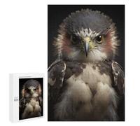 Puzzles 1000 PCS pour Adultes Hawk Looking At The Camera Puzzles pour Adultes Jeux Amusants Vacances À La Maison Passer Le Temps pour Un Anniversaire, Noël 1000 PCS