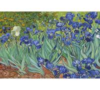 Puzzles 1000 Pièces Adultes Irises de Vincent Van Gogh 70x50cm Puzzles Adultes Jouets Défi Éducatifs 1000 Pièces de Puzzle Van Gogh pour Adultes et Enfants