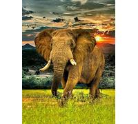 Puzzles 1000 Pièces - Animal Elephants Affiches - Puzzle d'art - Jeux Amusants pour Adultes sur La Maladie D'Alzheimer - Jouets Anti-Stress pour La Famille - Kw45Zk