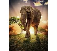 Puzzles 1000 Pièces - Animal Elephants Affiches - Puzzle d'art - Jeux Amusants pour Adultes sur La Maladie D'Alzheimer - Jouets Anti-Stress pour La Famille - Kw47Zk