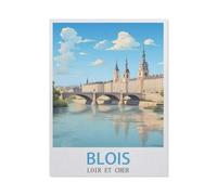 Puzzles 1000 Pièces,Blois Loir-et-Cher,Puzzle pour Adultes 1000 Pièces Game Jeu De Puzzle Stimulant/Noël des Vacances(50x70cm)-GP12