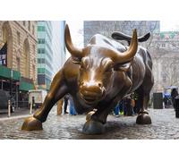 Puzzles 1000 Pieces Jigsaw Puzzles for Teens and Adults - 1000 Piece Puzzle Bulls Monuments USA Charging Bull City (38x52cm)